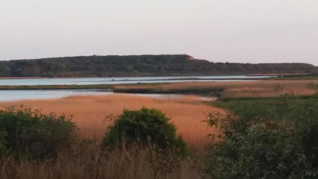 Bournecoast - Stunning View Of Nature Reserve - Hb5901 Villa Борнмът Екстериор снимка